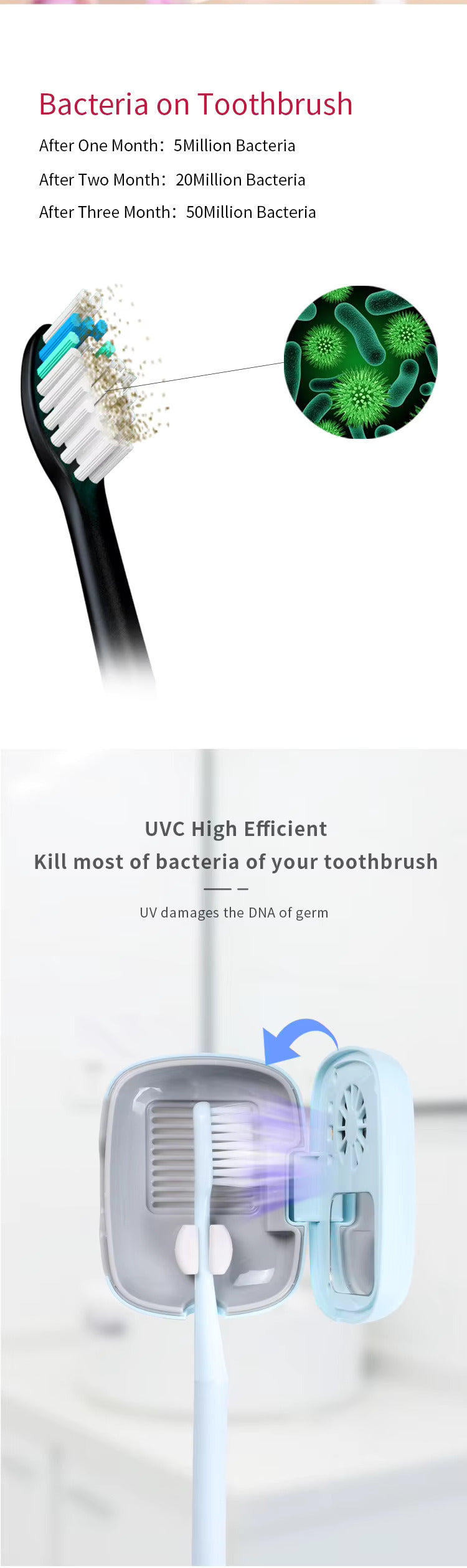 Mini-UVC-Zahnbürsten-Sterilisatorbox Tragbare Hygienelösung für keimfreie Bürsten | STB-021