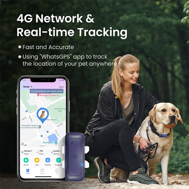 Hochwertiger drahtloser Haustier-Ortungsgerät, Haustierhalsband, GPS, Mini-Haustier-Tracking-Ortungsgerät | S26L