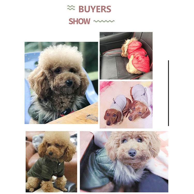 Haustierkleidung Winter Puffermantel Luxus Baumwolle Leichte warme Daunenjacke Hund Zweibein Baumwollanzug Haustierkleidung |