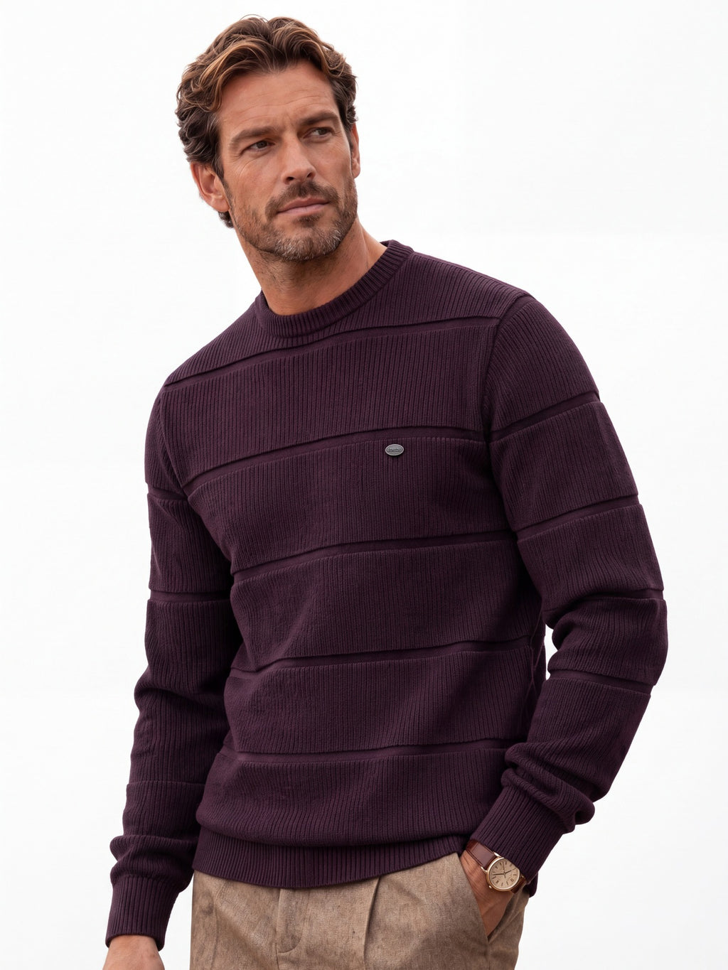Men's Crew Neck Knit Sweater | 2026 Autumn Business Casual Pullover | Warm Cotton-Blend Jacquard Jumper | SW248