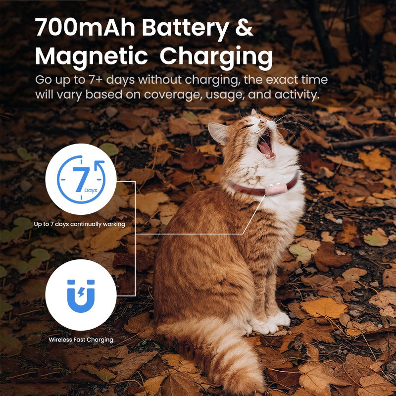 Hochwertiger drahtloser Haustier-Ortungsgerät, Haustierhalsband, GPS, Mini-Haustier-Tracking-Ortungsgerät | S26L 