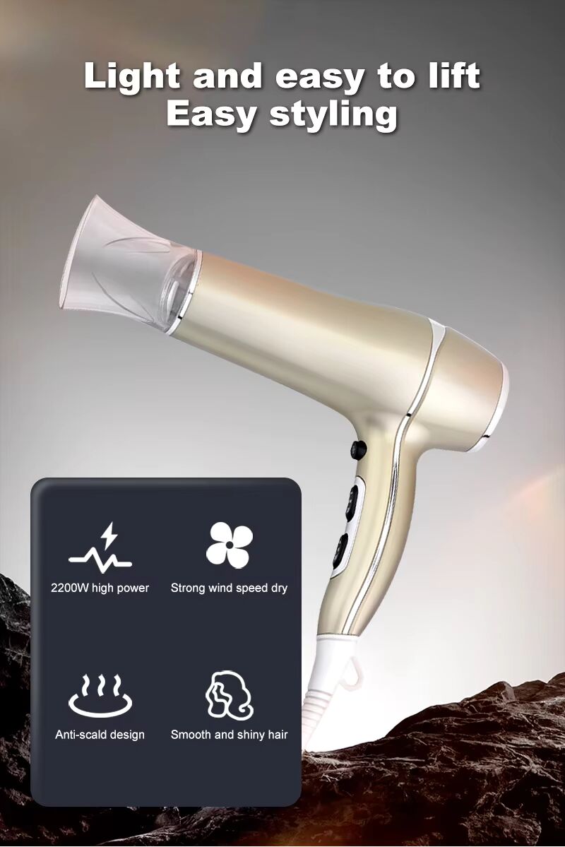 PRITECH 1800W-2200W Ionic Professioneller Salon-Haartrockner Hochleistungs-Styling-Tool | TC-2256 