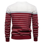 Herren Gestreifter Patchwork Strickpullover – Rundhals Casual Pullover für Herbst/Winter | SW117 