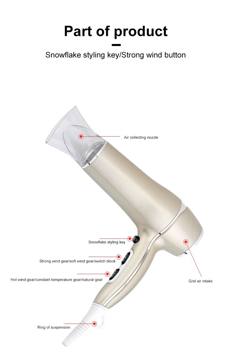 PRITECH 1800W-2200W Ionic Professioneller Salon-Haartrockner Hochleistungs-Styling-Tool | TC-2256 
