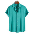 Einfarbiges Herrenhemd mit Revers und kurzen Ärmeln im Business-Casual-Sommerstil | CCS05 