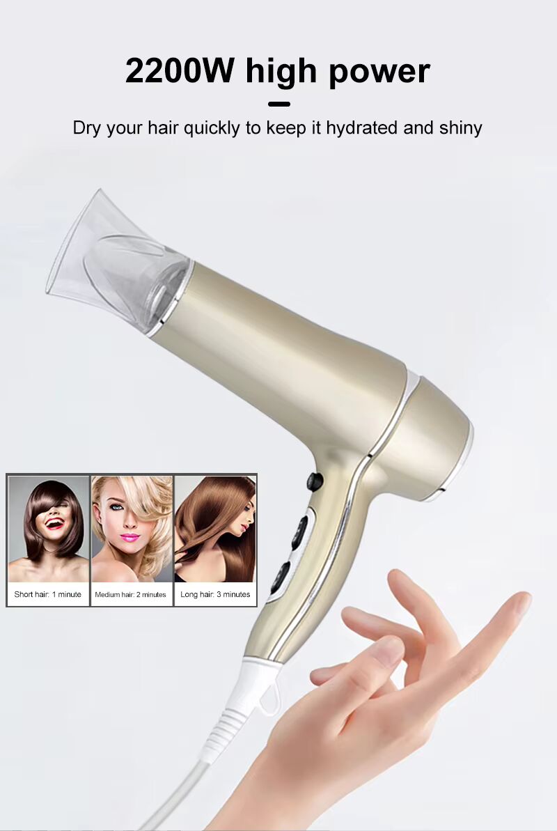 PRITECH 1800W-2200W Ionic Professional Salon Hair Dryer High-Power Styling Tool | TC-2256