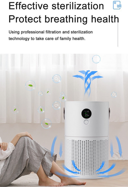 High-Performance Air Purifier Quiet Efficient & Ideal For Home Or Office Air Cleaner | AP01