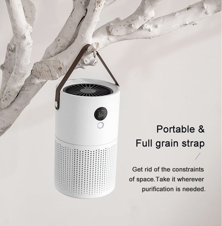 Hochleistungs-Luftreiniger, leise, effizient und ideal für Zuhause oder das Büro | AP01 