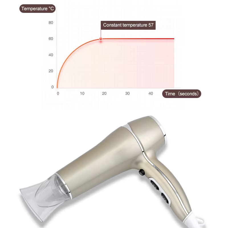 PRITECH 1800W-2200W Ionic Professional Salon Hair Dryer High-Power Styling Tool | TC-2256