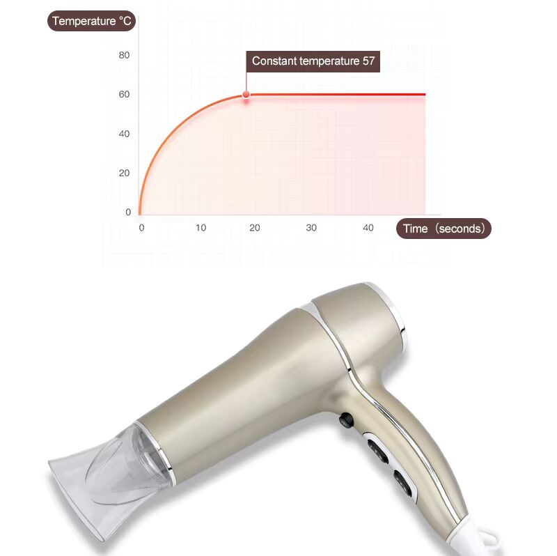 PRITECH 1800W-2200W Ionic Professioneller Salon-Haartrockner Hochleistungs-Styling-Tool | TC-2256 