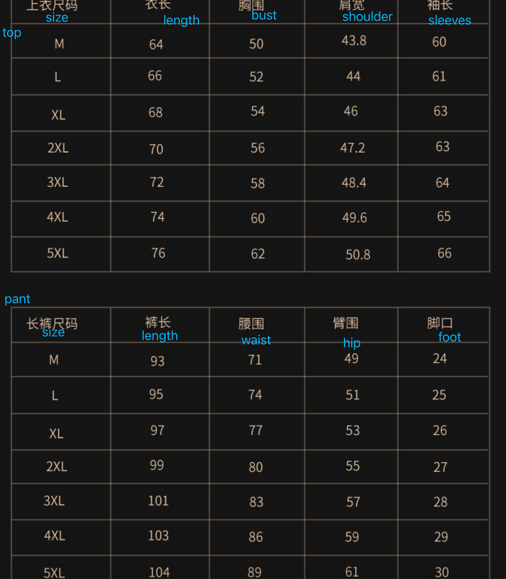 Hochwertiger, warmer, vielseitiger 2-teiliger Sportanzug mit Kapuze aus Samtstoff | 2091 