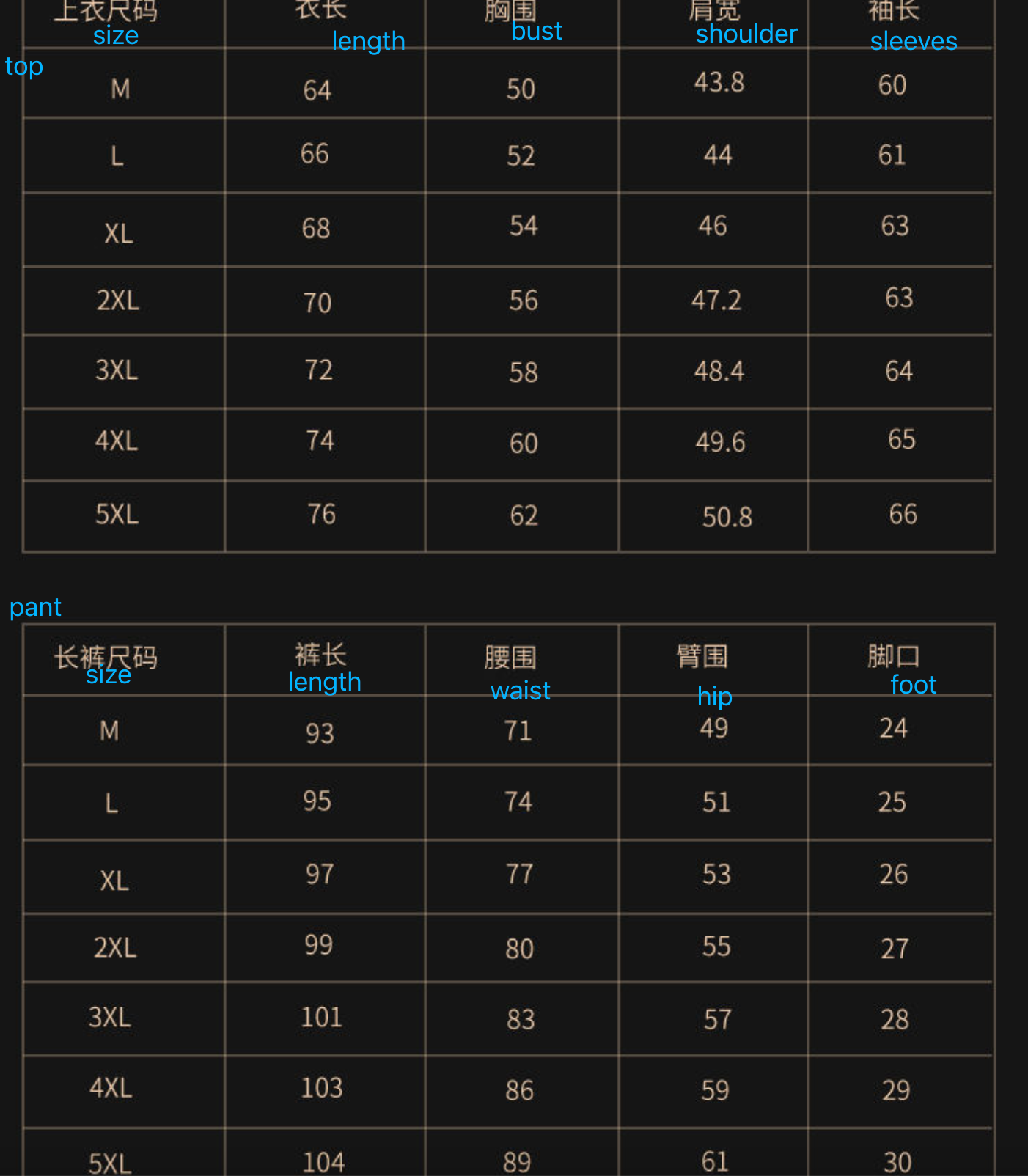 Hochwertiger, warmer, vielseitiger 2-teiliger Sportanzug mit Kapuze aus Samtstoff | 2091 