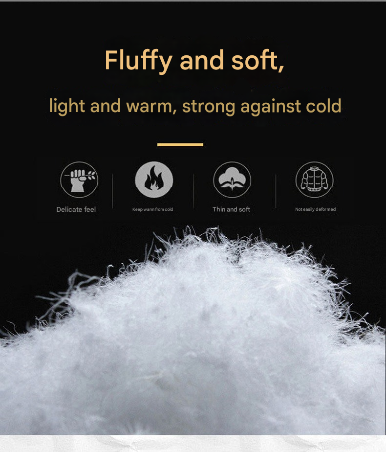 Dicke Winter-Daunenjacke für Herren – Warmer Baumwollmantel mit Stehkragen für europäische Winter 8668 