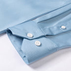 Herren Frühling Sommer Business Knitterfreie Einfarbige Maulbeerseidenhemden | SC-2210